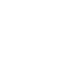MarquisConsults_Reversed_500x400-1